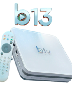 Receptor BTV B13